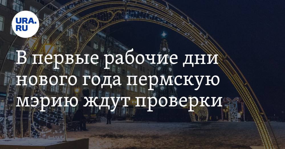 Александр Плаксин - В первые рабочие дни нового года пермскую мэрию ждут проверки - ura.news - Пермь