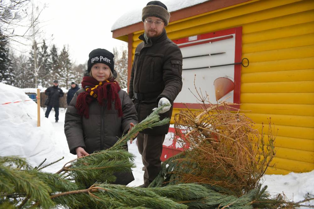 Площадки по приему отслуживших новогодних елок откроют в Петербурге - vm.ru - Санкт-Петербург