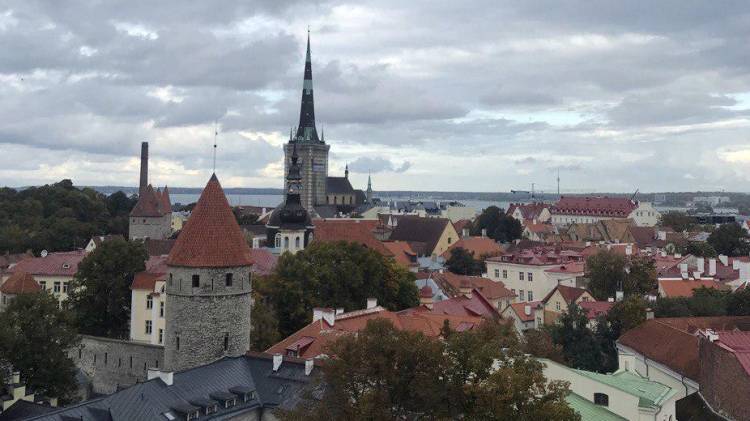 Посольство РФ предупредило россиян о сильном шторме в Эстонии - polit.info - Россия - Эстония