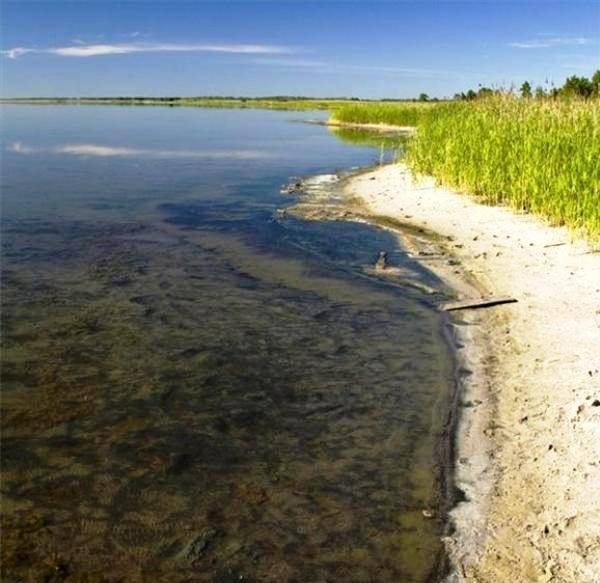 Из санатория "Озеро Медвежье" в Курганской области хотят сделать современный SPA-курорт - nakanune.ru