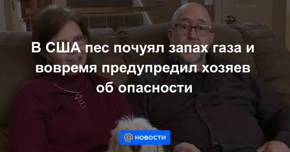 В США пес почуял запах газа и вовремя предупредил хозяев об опасности - news.mail.ru - USA - шт. Мичиган
