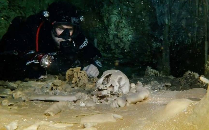 Пещеру с останками погибших от резни людей нашли в Испании - inforeactor.ru - Spain