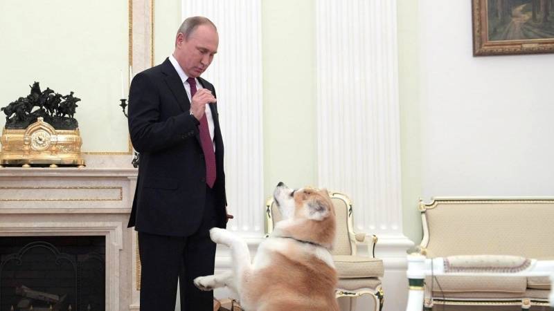 Владимир Путин - Сергей Бурлаков - Путин поддержал идею поправки об ответственном отношении к животным - polit.info - Россия