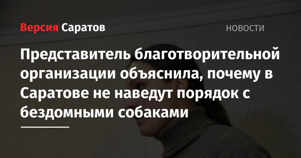 Елена Кузнецова - Представитель благотворительной организации объяснила, почему в Саратове не наведут порядок с бездомными собаками - nversia.ru - Саратовская обл.