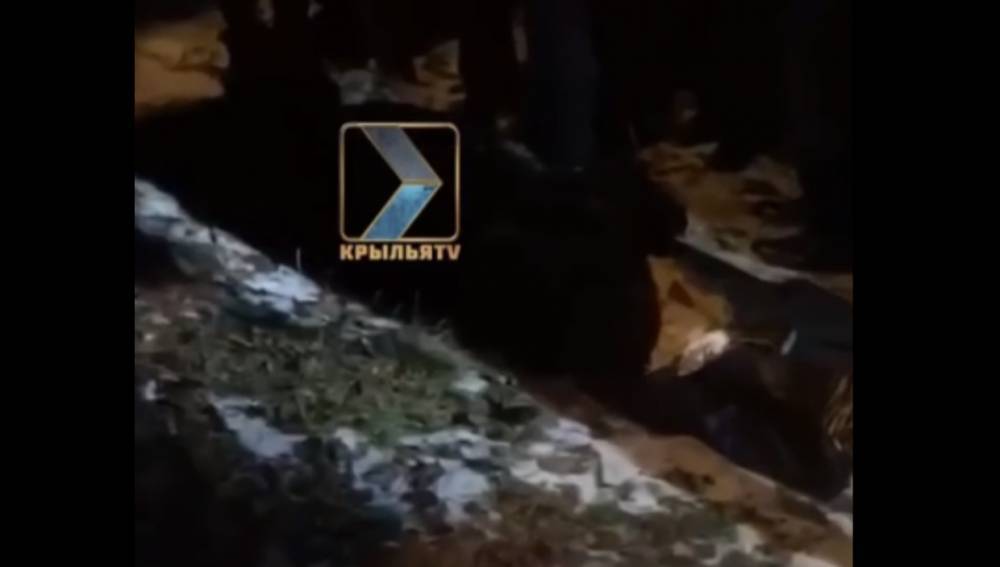 В Северной Осетии на даче экс-прокурора откопали труп его жены с пробитой головой - vestirossii.com - респ. Алания - Владикавказ