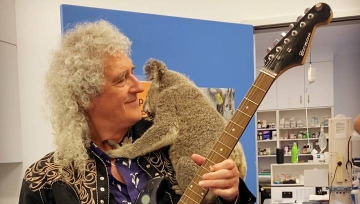 Брайан Мэй - Гитарист Queen сыграл для коалы, выжившей в пожаре - vesti.ru - Англия - Австралия