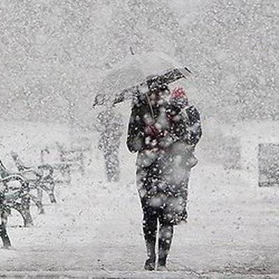 Приморье: Более 40 рейсов междугородних автобусов отменено из-за снегопада - radiomayak.ru - Приморье край - Хабаровск - Владивосток - Дальнегорск