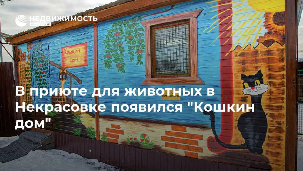 В приюте для животных в Некрасовке появился "Кошкин дом" - realty.ria.ru - Москва