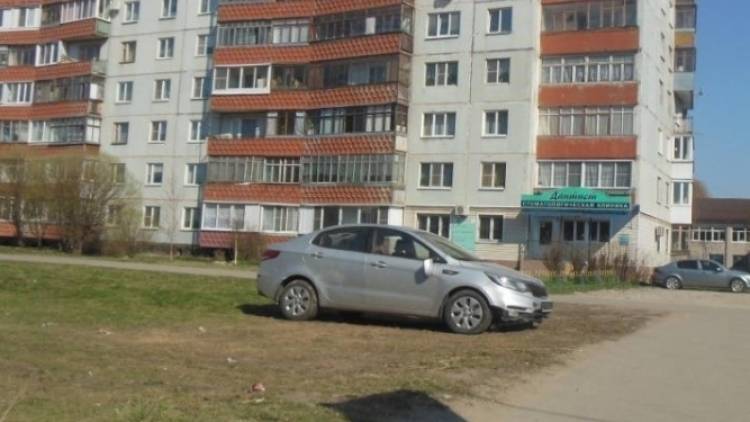 Ирина Рукавишникова - Совфед предлагает прописать штрафы за парковку на газонах в КоАП - polit.info