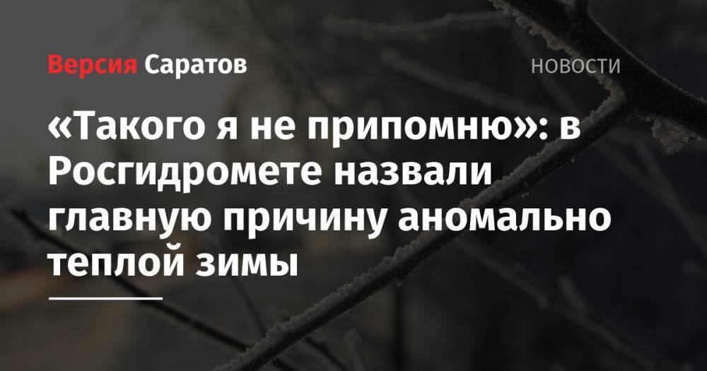 Гидрометцентр Роман Вильфанд - «Такого я не припомню»: в Росгидромете назвали главную причину аномально теплой зимы - nversia.ru - Россия