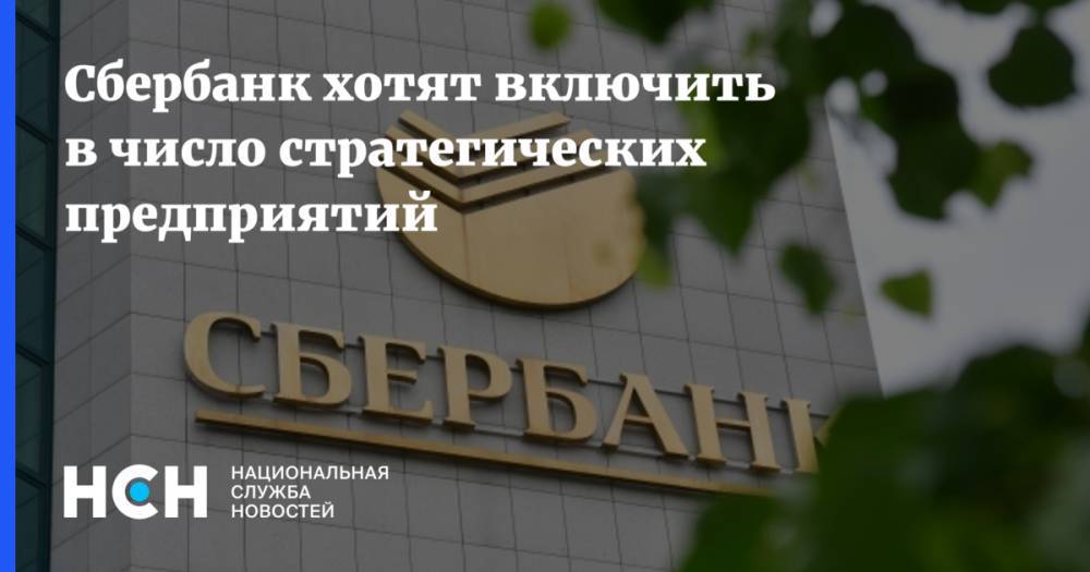 Владимир Колычев - Сбербанк хотят включить в число стратегических предприятий - nsn.fm