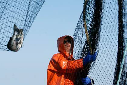 Американские рыбаки пожаловались на потери из-за санкций России - lenta.ru - Россия - Япония - шт.Аляска - state Alaska