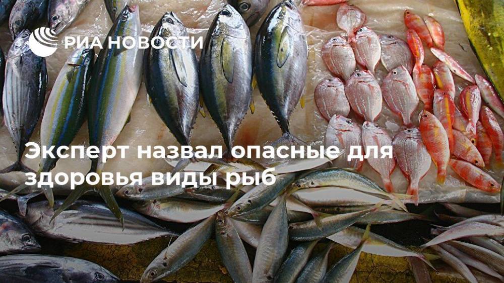 Александр Савельев - Эксперт назвал опасные для здоровья виды рыб - ria.ru - Москва - Россия