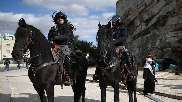 Гилад Эрдан - Репатрианты подождут: в Ликуде озаботились пенсиями для полицейских лошадей - vesty.co.il