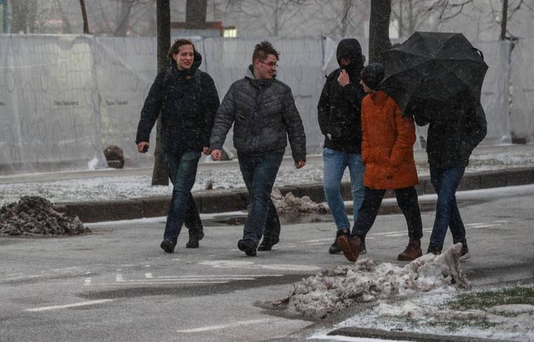 Москвичей предупредили о порывистом ветре - news.ru - Москва - Россия - Московская обл.