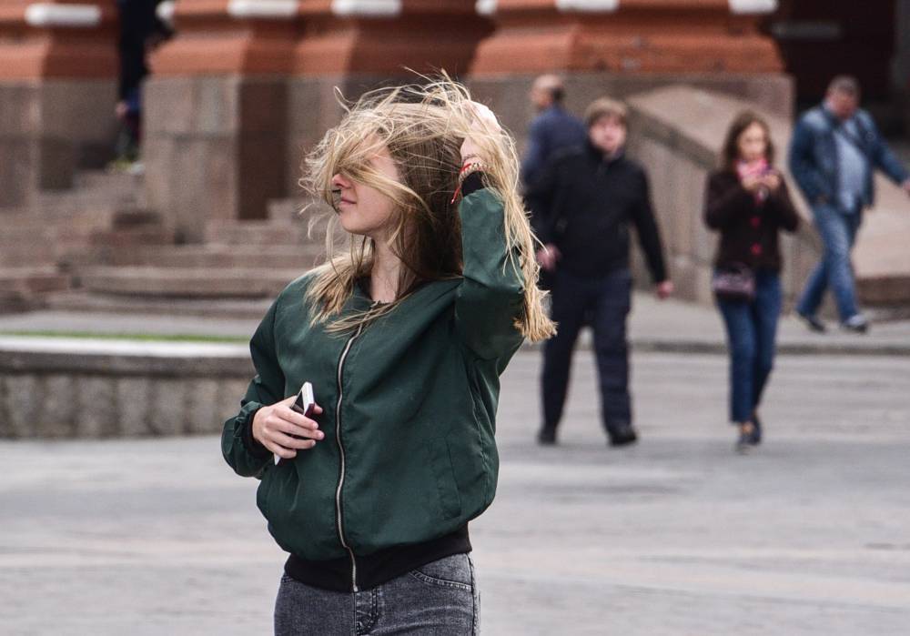 Жителей столицы предупредили о сильном ветре до утра воскресенья - vm.ru - Москва