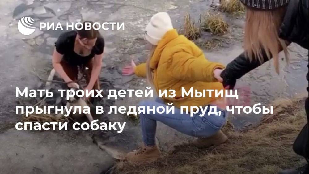 Мать троих детей из Мытищ прыгнула в ледяной пруд, чтобы спасти собаку - ria.ru - Москва