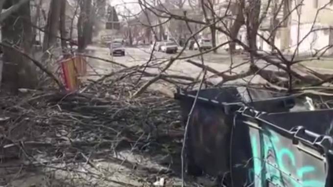 В Одессе из-за шторма "Юля" женщину насмерть придавило деревом - piter.tv - Украина - Одесса