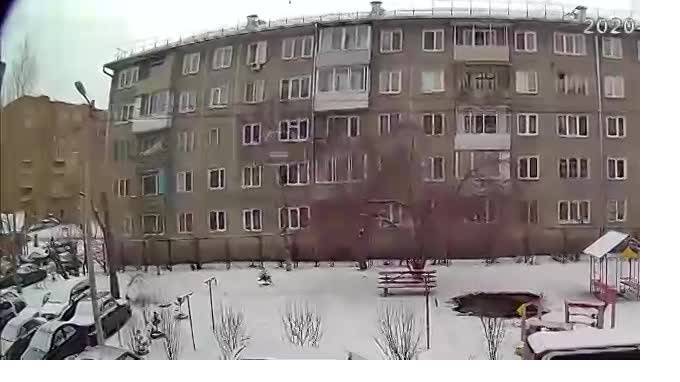 Житель Красноярска выкинул с 5 этажа маленькую собаку - piter.tv - Красноярск