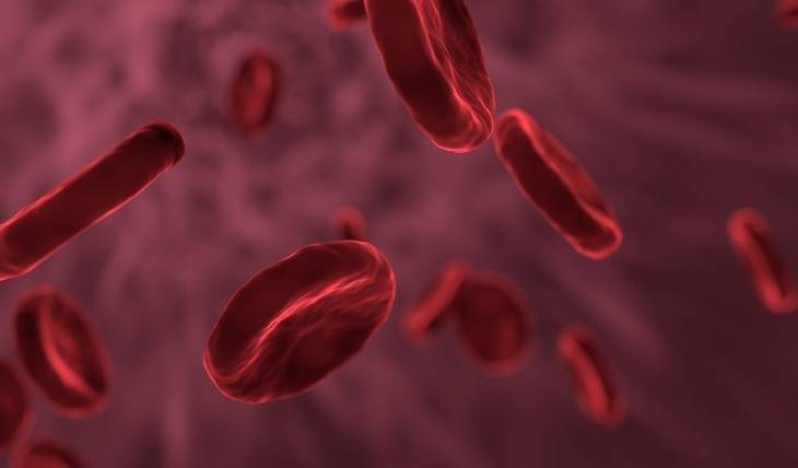 Учёные назвали группу крови, обладающую устойчивостью к раку - mirnov.ru - Швеция