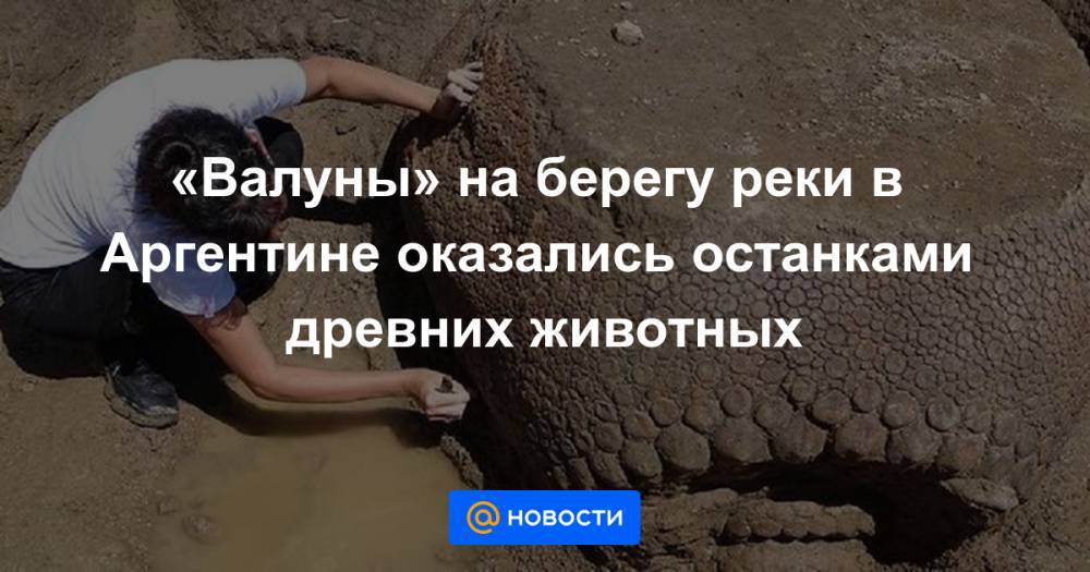 «Валуны» на берегу реки в Аргентине оказались останками древних животных - news.mail.ru - Аргентина - Буэнос-Айрес