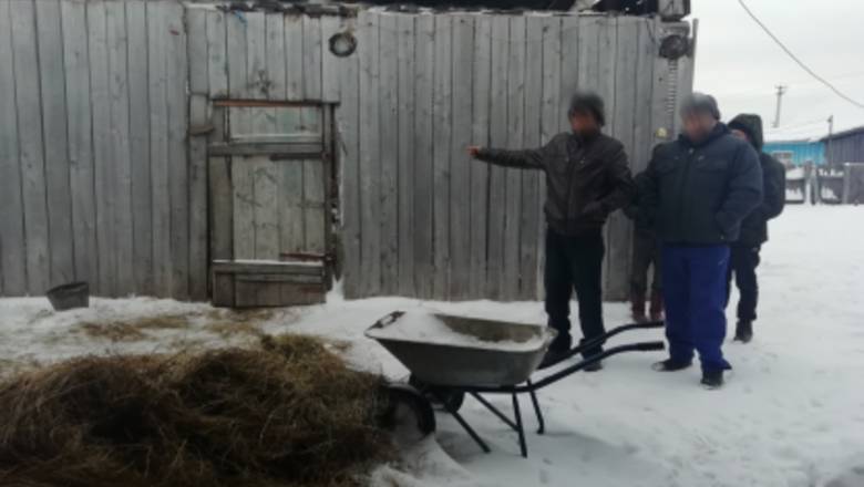 В Ишимском районе селянин до смерти избил друга лопатой - nashgorod.ru - район Ишимский