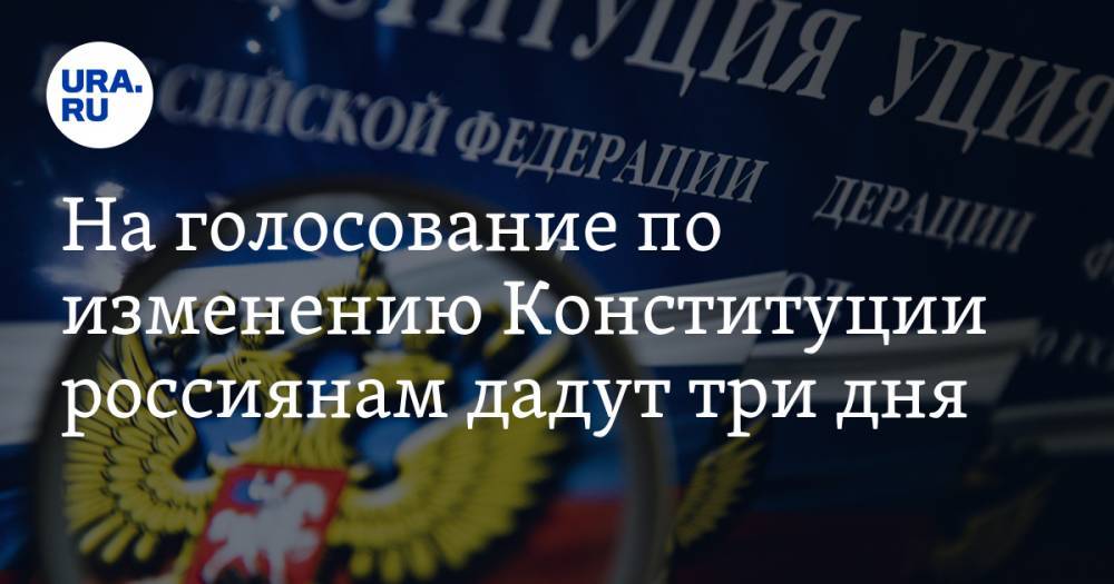 Элла Памфилова - На голосование по изменению Конституции россиянам дадут три дня - ura.news