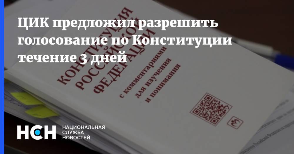 Элла Памфилова - ЦИК предложил разрешить голосование по Конституции течение 3 дней - nsn.fm - Россия