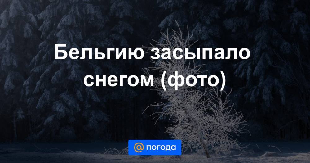 Бельгию засыпало снегом (фото) - news.mail.ru - Бельгия
