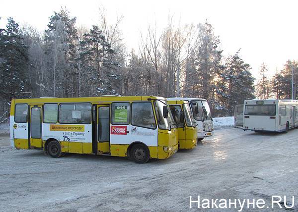 Все путаются и ничего не понимают: транспортная реформа в Нижнем Тагиле вызвала вопросы у горожан - nakanune.ru