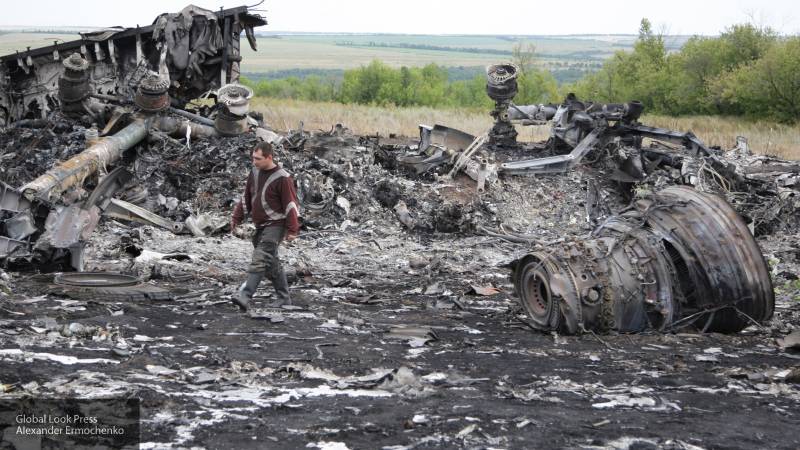 Нидерланды предъявили четырем фигурантам обвинения по делу о крушении MH-17 в Донбассе - nation-news.ru - обл. Донецкая - Голландия