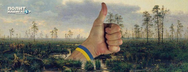 Дмитрий Дубилет - На Украине придумали, как увеличить экономику на могилах сограждан - politnavigator.net - Украина - Киев
