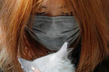 В Китае заживо закопали кошку пострадавшего от коронавируса - lenta.ru - Китай - провинция Цзянсу