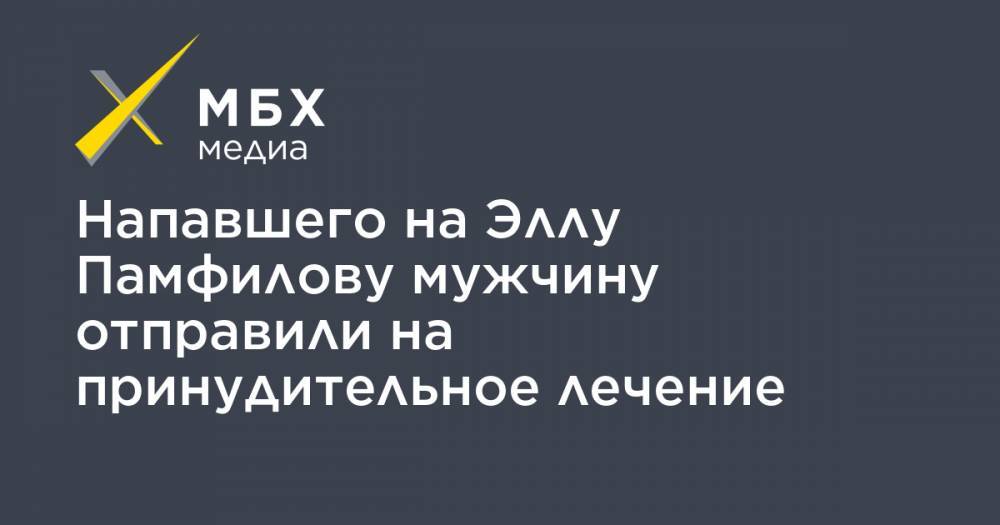 Элла Памфилова - Напавшего на Эллу Памфилову мужчину отправили на принудительное лечение - mbk.news