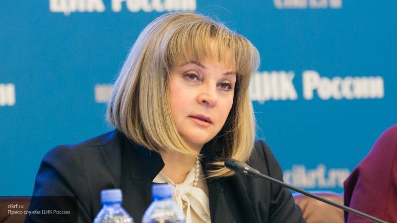 Светлана Петренко - Элла Памфилова - Напавшего на дом Памфиловой отправили на лечение в психбольницу - nation-news.ru - Москва