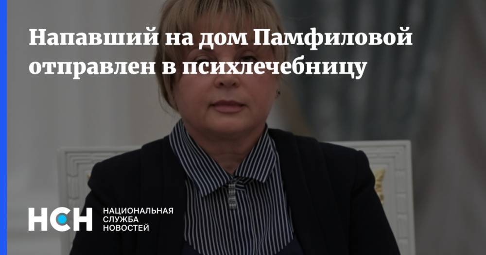 Элла Памфилова - Напавший на дом Памфиловой отправлен в психлечебницу - nsn.fm - Москва - Московская обл.