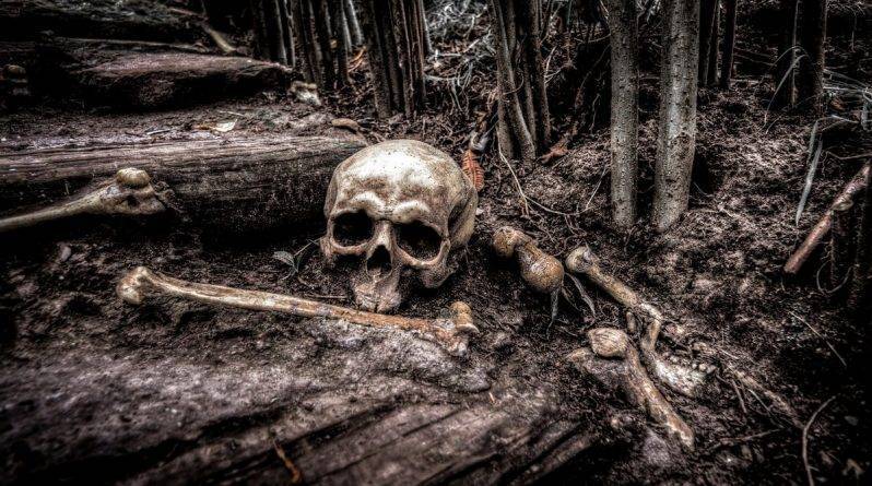 Десятки скелетов со связанными руками были обнаружены строителями в неглубокой могиле - usa.one - Англия - Строительство - Великобритания