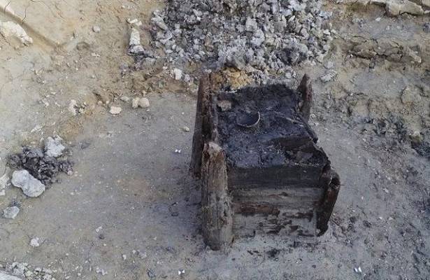 Найдено древнейшее деревянное изделие в мире - newtvnews.ru - Чехия - Остров