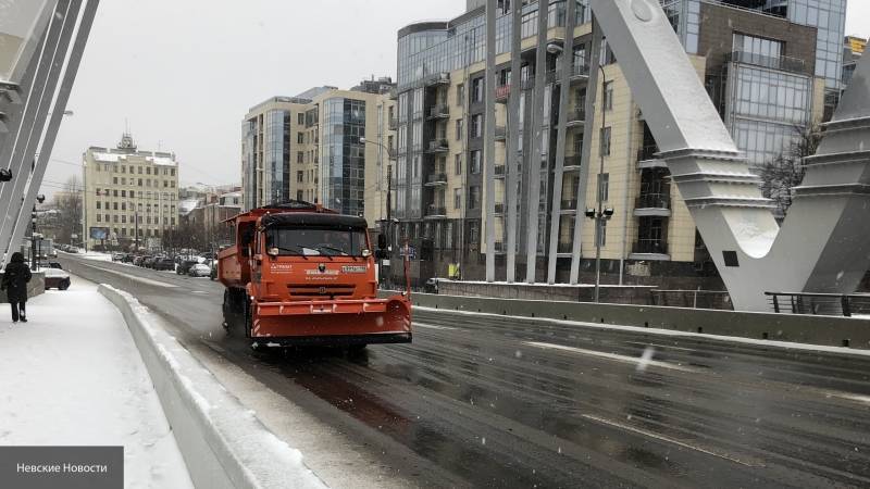 Центральная часть Петербурга будет поставлена на особый контроль при уборке снега - nation-news.ru - Санкт-Петербург - р-н Приморский