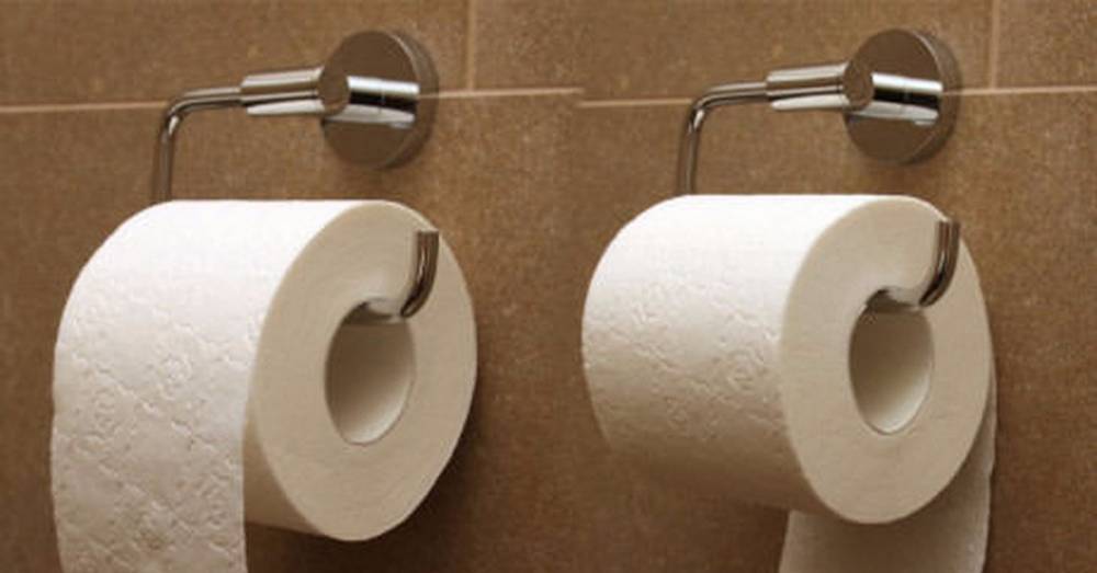 Рулон туалетной бумаги нужно вешать на стену правильно. Как? - readovka.news - Патент