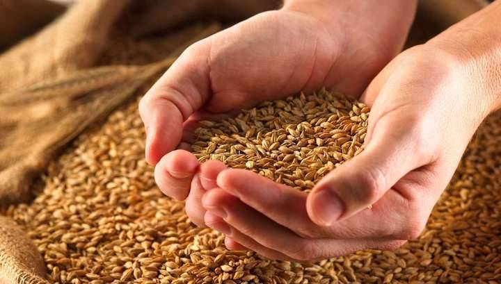 Джамбулат Хатуов - В 2019 году в России собрали 121,2 млн тонн зерновых в чистом весе - vesti.ru - Россия