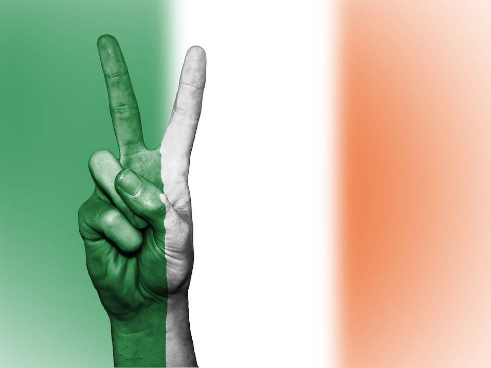В Ирландии проходят досрочные парламентские выборы - Cursorinfo: главные новости Израиля - cursorinfo.co.il - Ирландия - Парламент