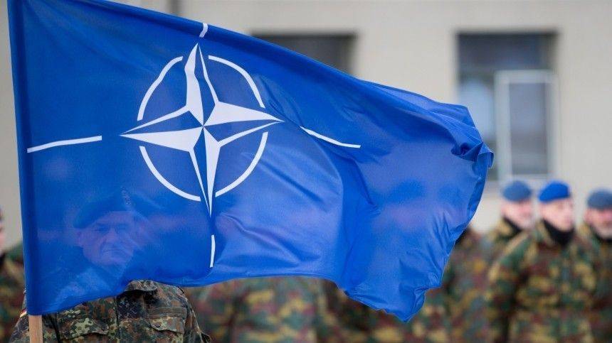Опухоль НАТО: почему Прибалтика боится российских журналистов - 5-tv.ru - Россия - Белоруссия - Латвия - Даугавпилс