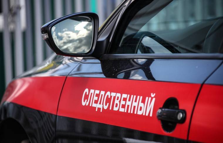 Центральный аппарат СК взял на контроль расследование ДТП под Ульяновском - news.ru - Россия - Ульяновск