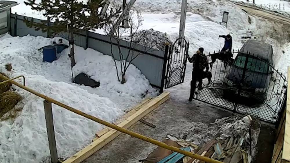 Вытащил охотничий нож и засадил по рукоятку: житель Наумовки убил собаку соседа. ФАН-ТВ - vestirossii.com - Башкирия