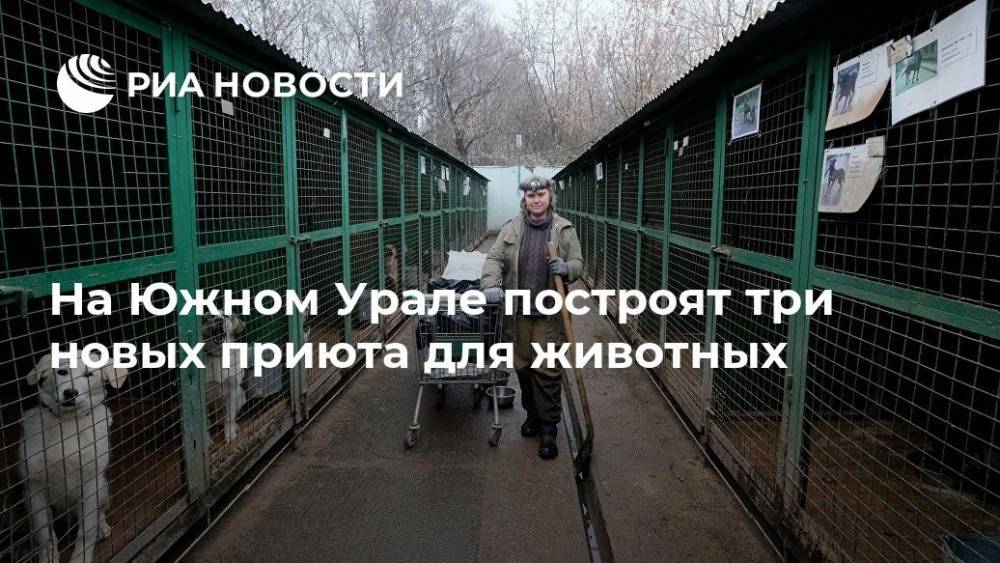 На Южном Урале построят три новых приюта для животных - ria.ru - Москва