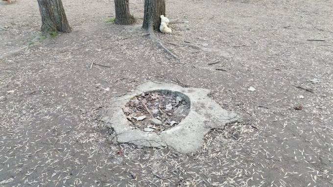 В Запорожье в парке деревянная скульптура упала и убила 8-летнюю девочку - piter.tv - Запорожье - Тамбовская обл.