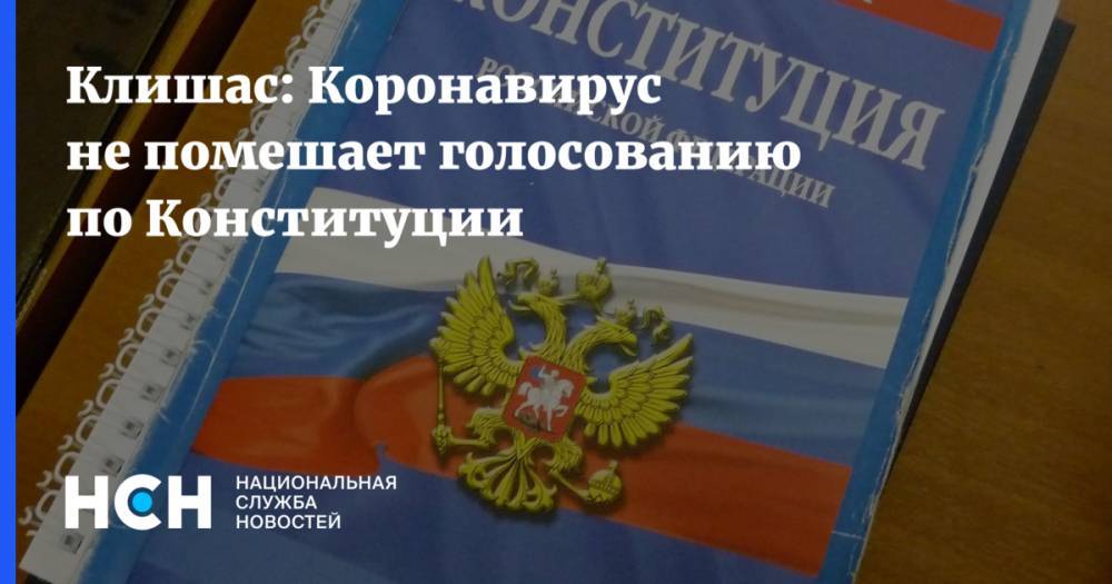 Андрей Клишаса - Клишас: Коронавирус не помешает голосованию по Конституции - nsn.fm - Россия