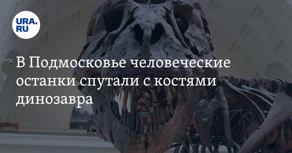 Сергиев Посад - В Подмосковье человеческие останки спутали с костями динозавра - ura.news - Московская обл.