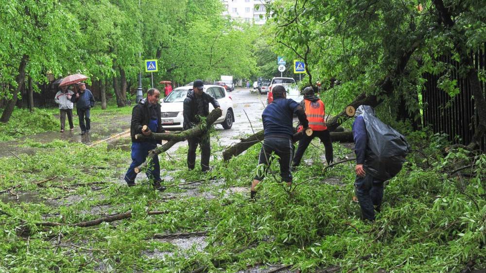 В Калининградской области утих ветер и МЧС отменило штормовое предупреждение - wvw.daily-inform.ru - Россия - Калининградская обл. - Гурьевск - Зеленоградск